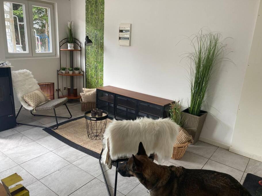 Perle De Coton Pour Duo De Charme Apartment Anhee Luaran gambar